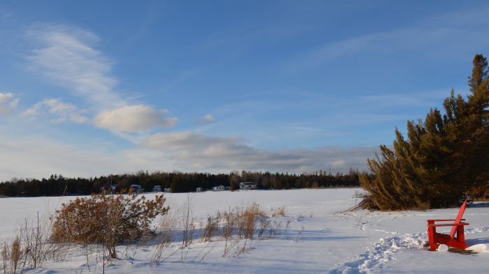 Snowshoeing